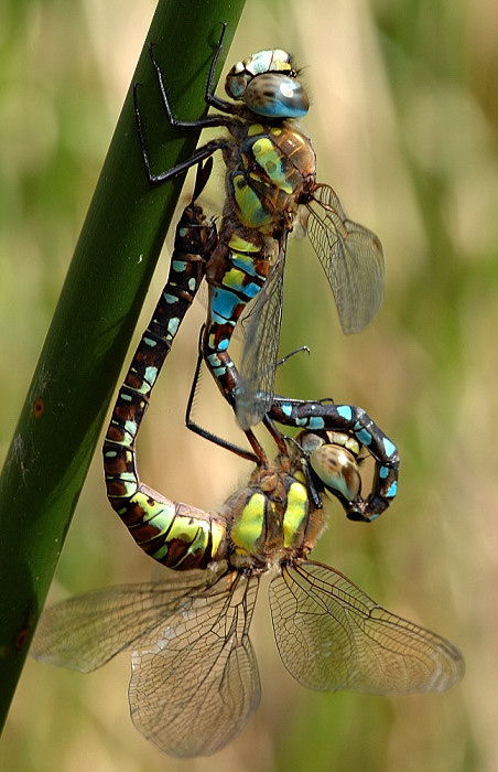Jen si tak viset....