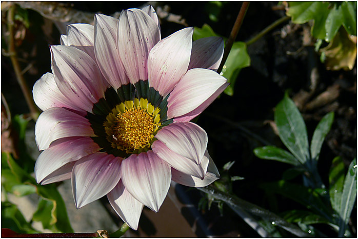 Barvy podzimu II ...