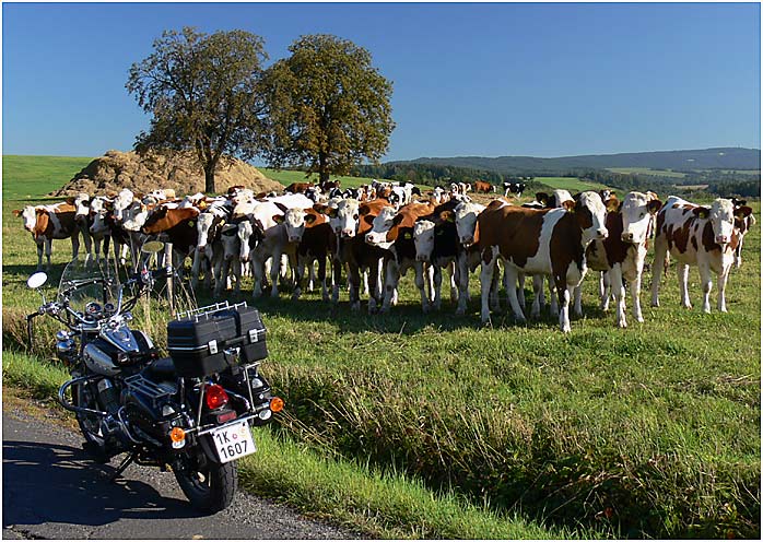 Jéééé  holky  motorkář  ...