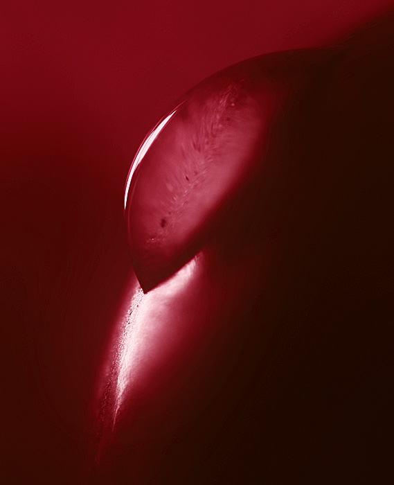 DROPII