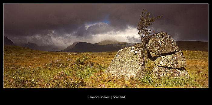 Rannoch Moore  | Scotland