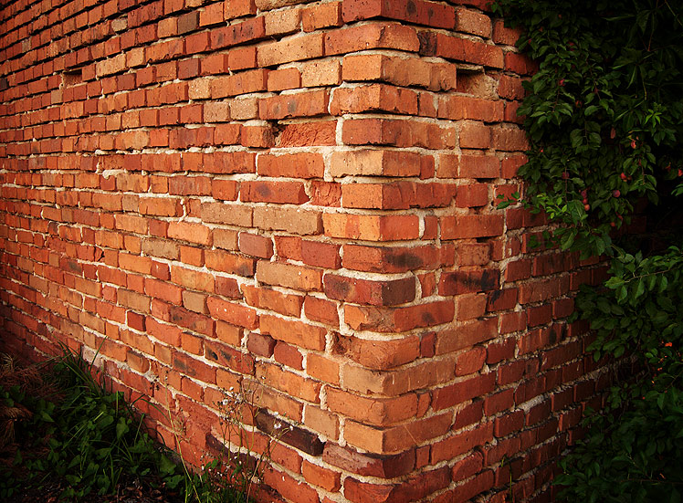 Zeď