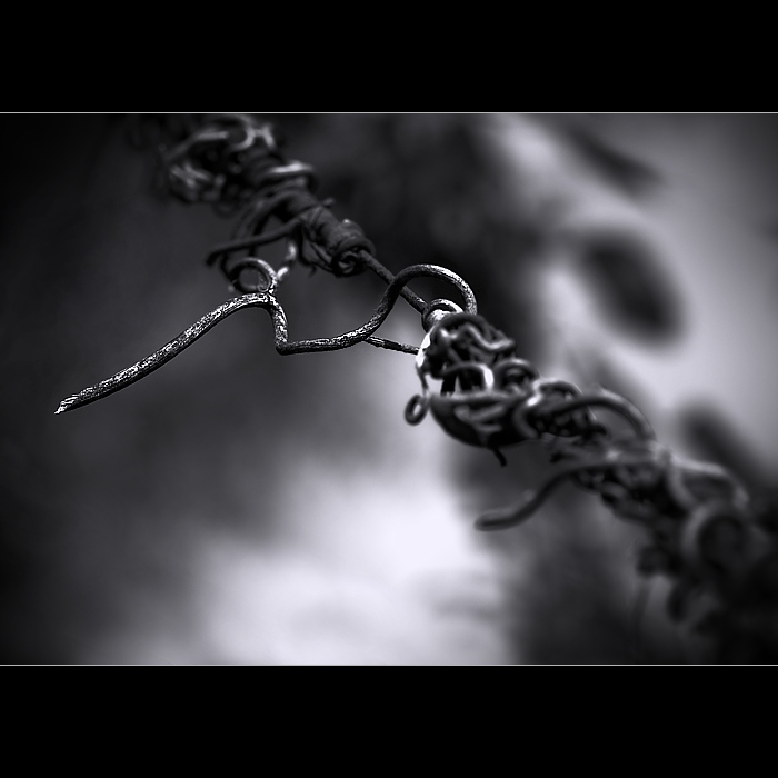 disconnected