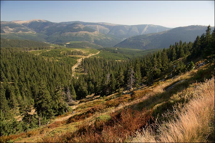 babí léto v Krkonoších II