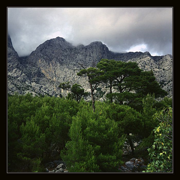 Biokovo II