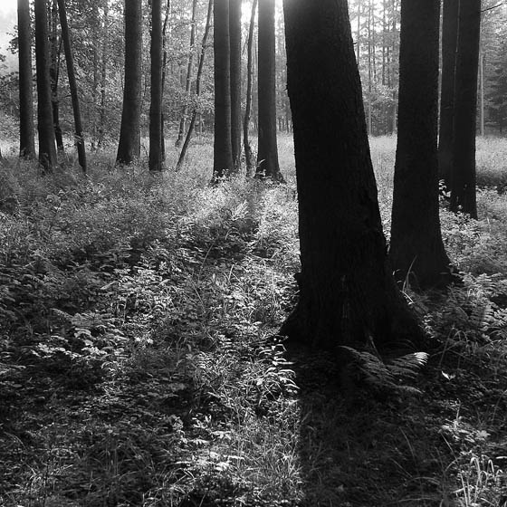 ..zase...