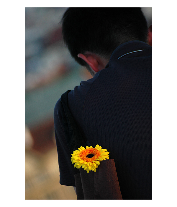 = yellow =