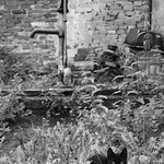 muj hadr, moje pumpa..