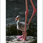 Na vlastnich nohou...