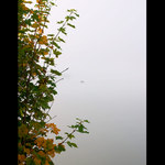 Rybářská středovka