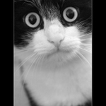 Cože?! Oni už jeli??