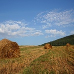 Balíci v pozdním odpoledni...