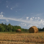 Dva balíci u lesa...