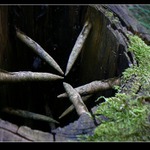 Bezpečnostní systém