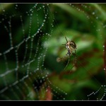 Čekání na snídani...