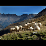 Babí léto v Alpách