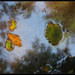 Čistě přírodní, olejová skvrna