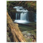 Stříbrný potok II.