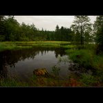 Podvečer na Medlově