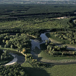 Meandrující Morava