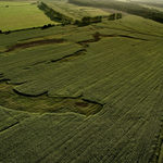 ..:: Tvary v polích ::..