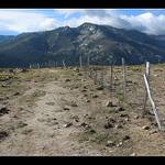 Okolo plotu cestička