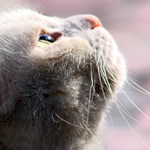 Babí léto plnými doušky