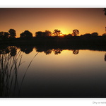 Díky za každé nové ráno