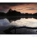 Podvečerní zastavení II