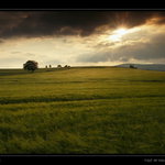 Když vítr klasy pohladil