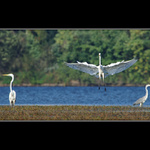 Uhněteeee, letííím!!!