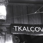 kam se chodí pavoučci učit...