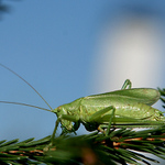a za chvílku byl fuč....