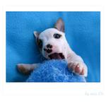 \'\'Devil in sweet body :)\'\'