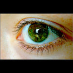 eye