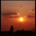 Podvečer v Ruzyni II.