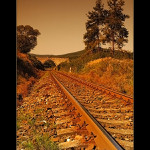 Devoted to Butch & Sundance