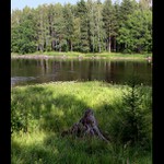 Švédsko - NP Färnebofjärden (4)