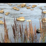 Švédsko - NP Färnebofjärden (5)