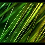 kdyz vetrik zafouka II