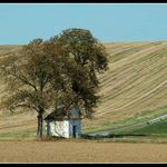 v polích sama stála...