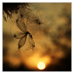 ...snění  při soumraku II...