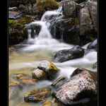 Při cestě k Téryho chatě