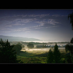 Ráno na předměstí