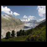 Ledovec Aletschgletscher