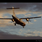 podvečerní návrat