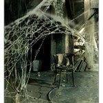 dnesne menu : \"stara mama\"