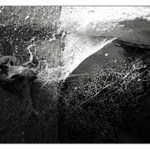 sailing the memories