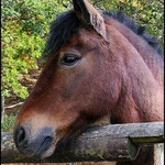 Já chci taky běhat