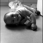 Radost aneb neplač nad snědeným piškotem